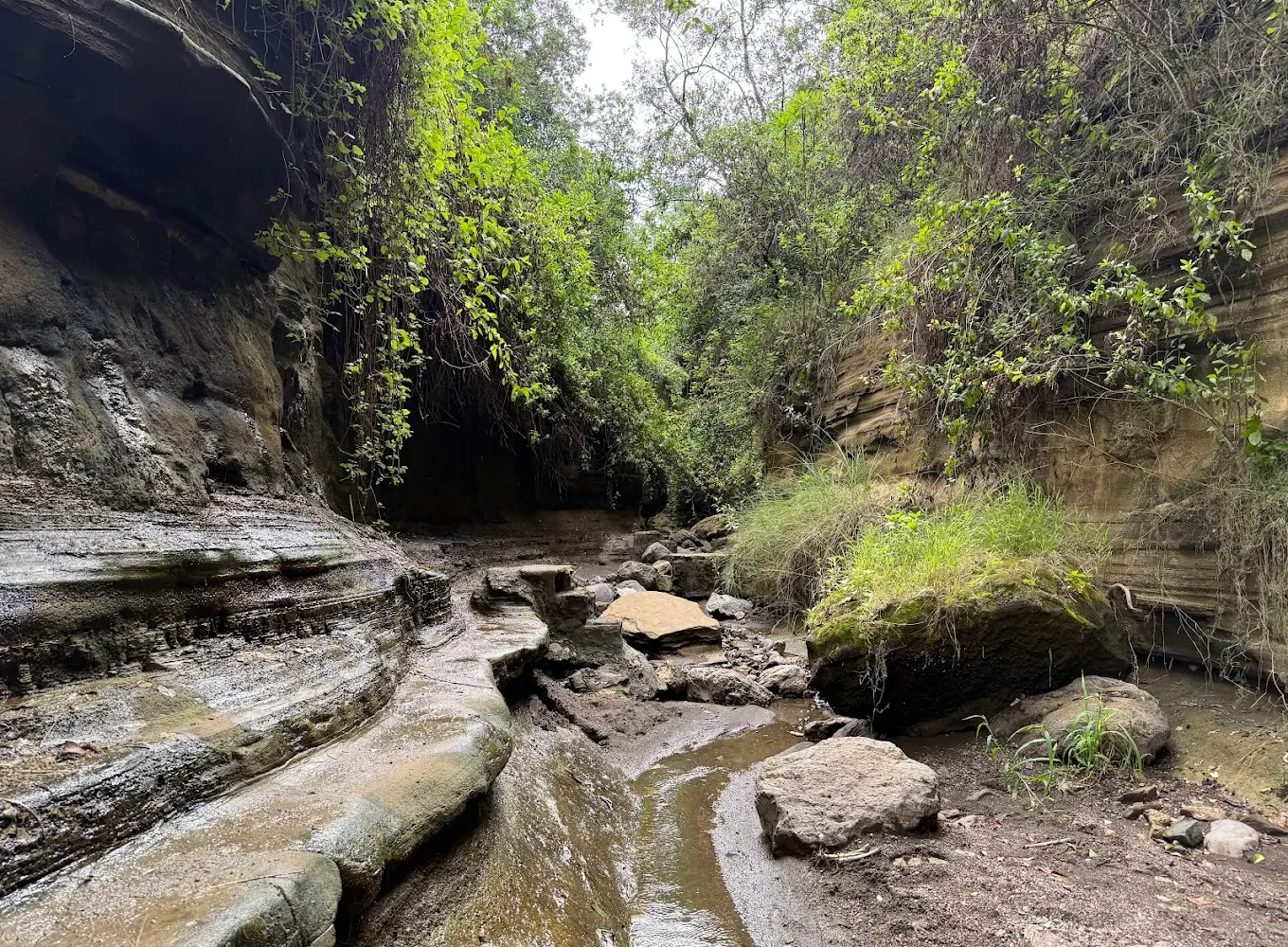 Hells Gate National Park stream