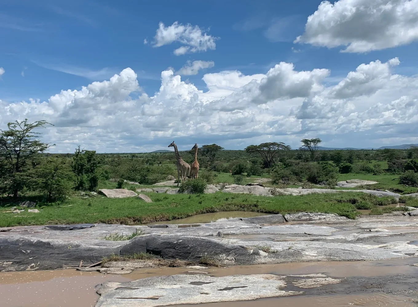 Naboisho Conservancy water body