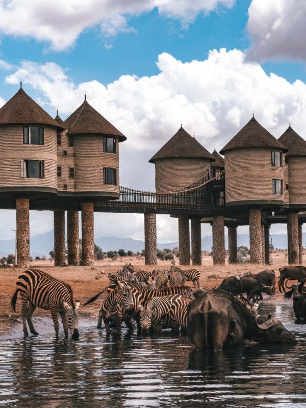 Taita Hills Safaris kenya