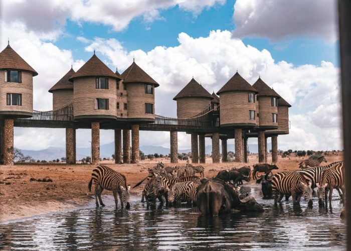 Taita Hills Safaris kenya