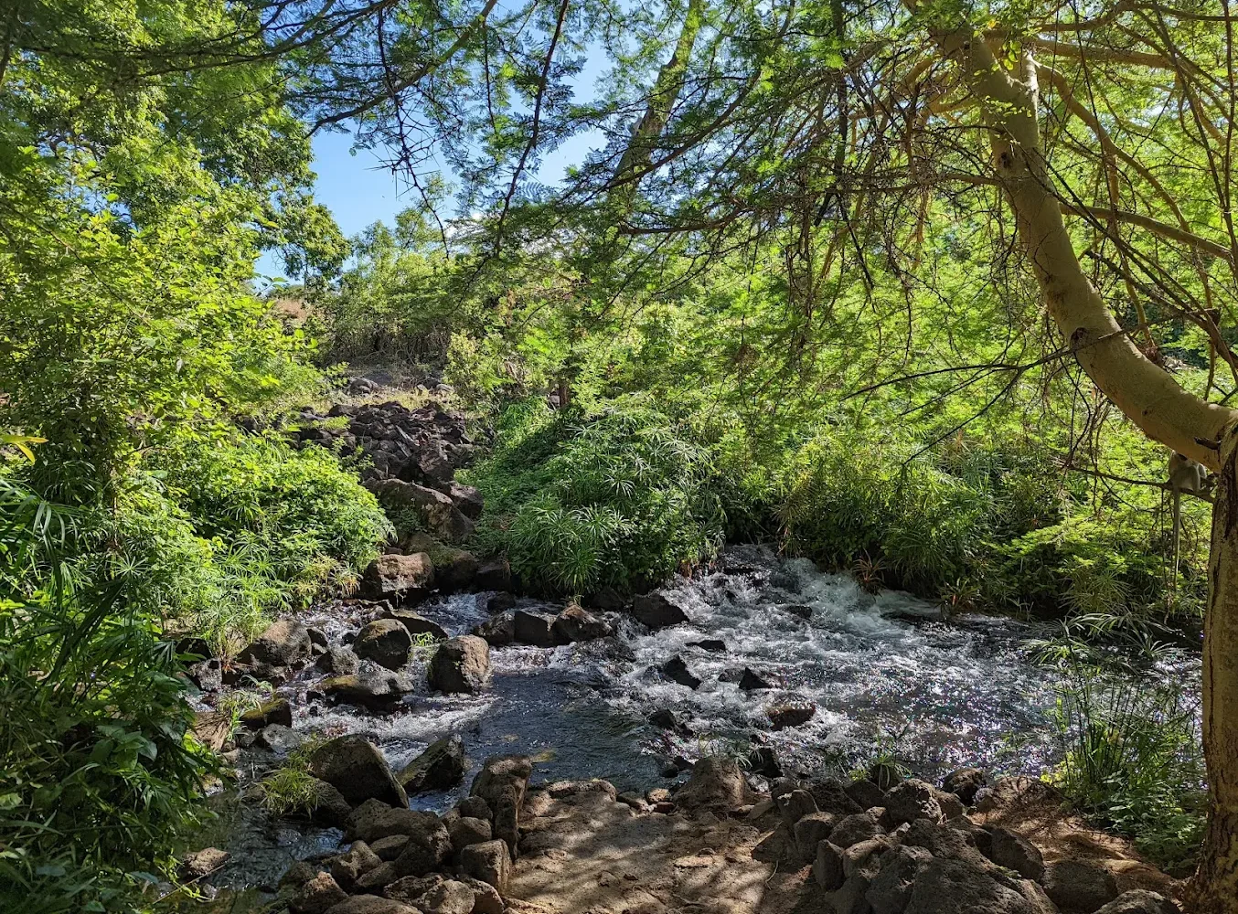 Tsavo West National Park water bodies
