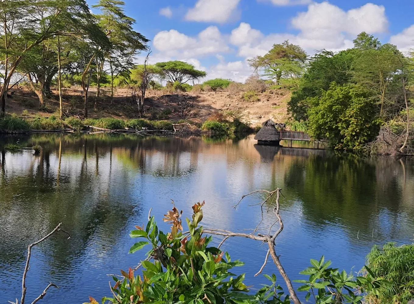 Tsavo West National Park waterflow